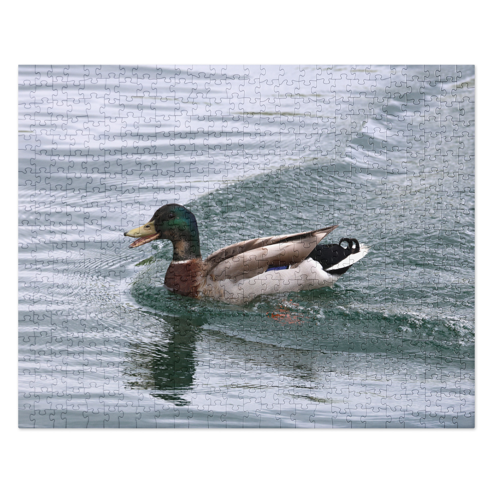 Mallard Duck 520-piece Jigsaw Puzzle