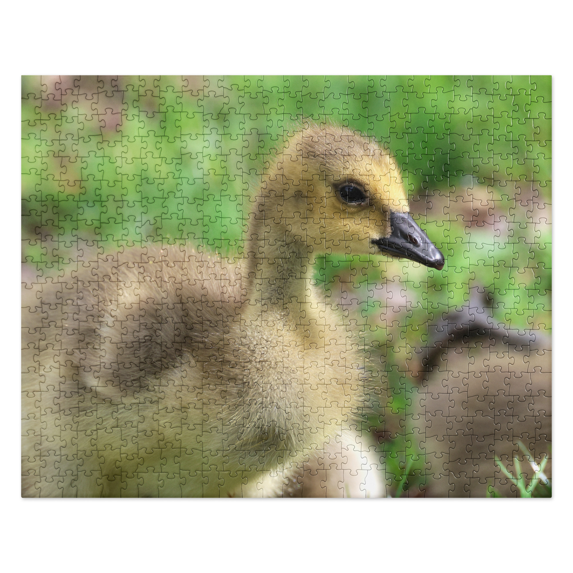 Baby Goose 520-piece Jigsaw Puzzle