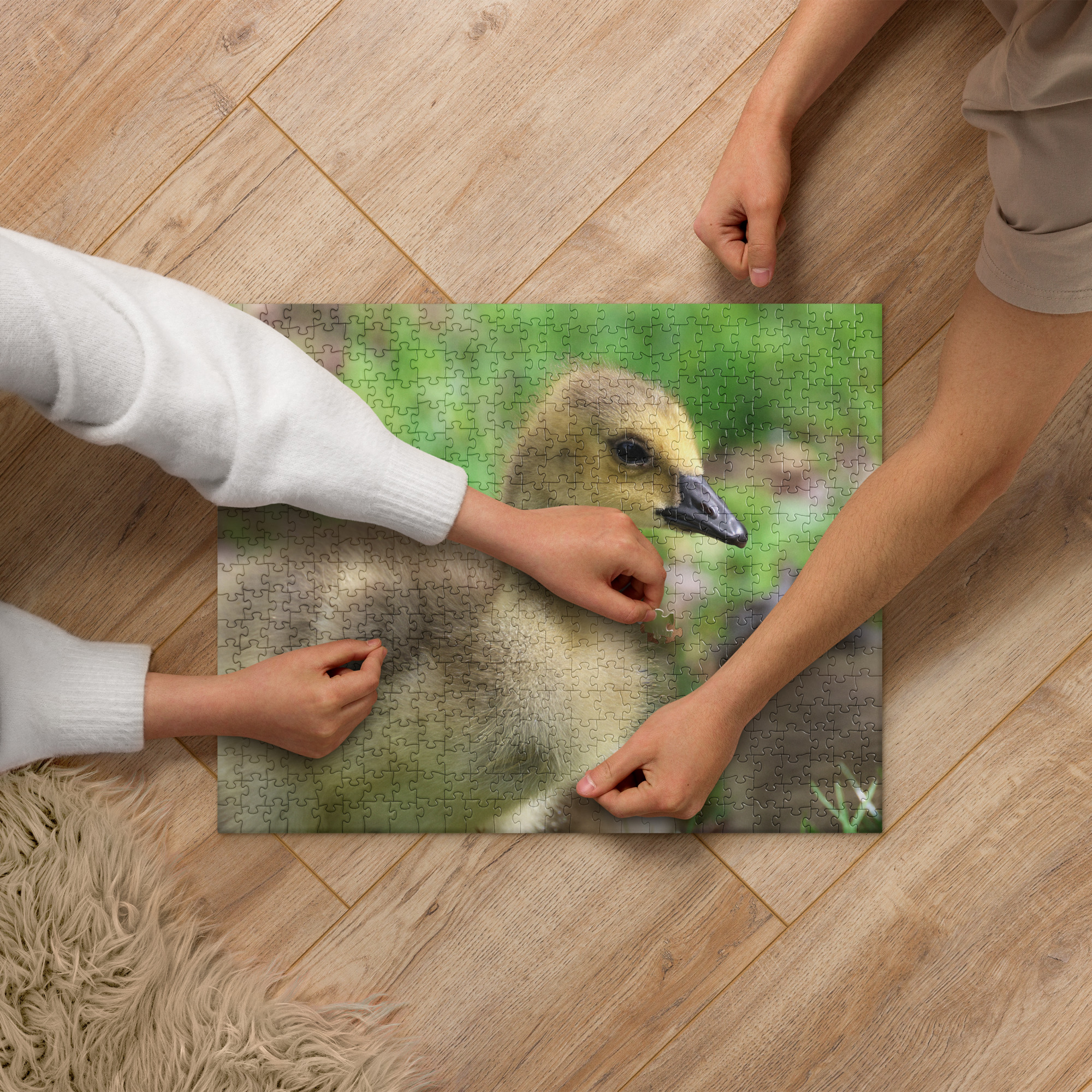 Baby Goose 520-piece Jigsaw Puzzle Baby Goose 520-piece Jigsaw Puzzle