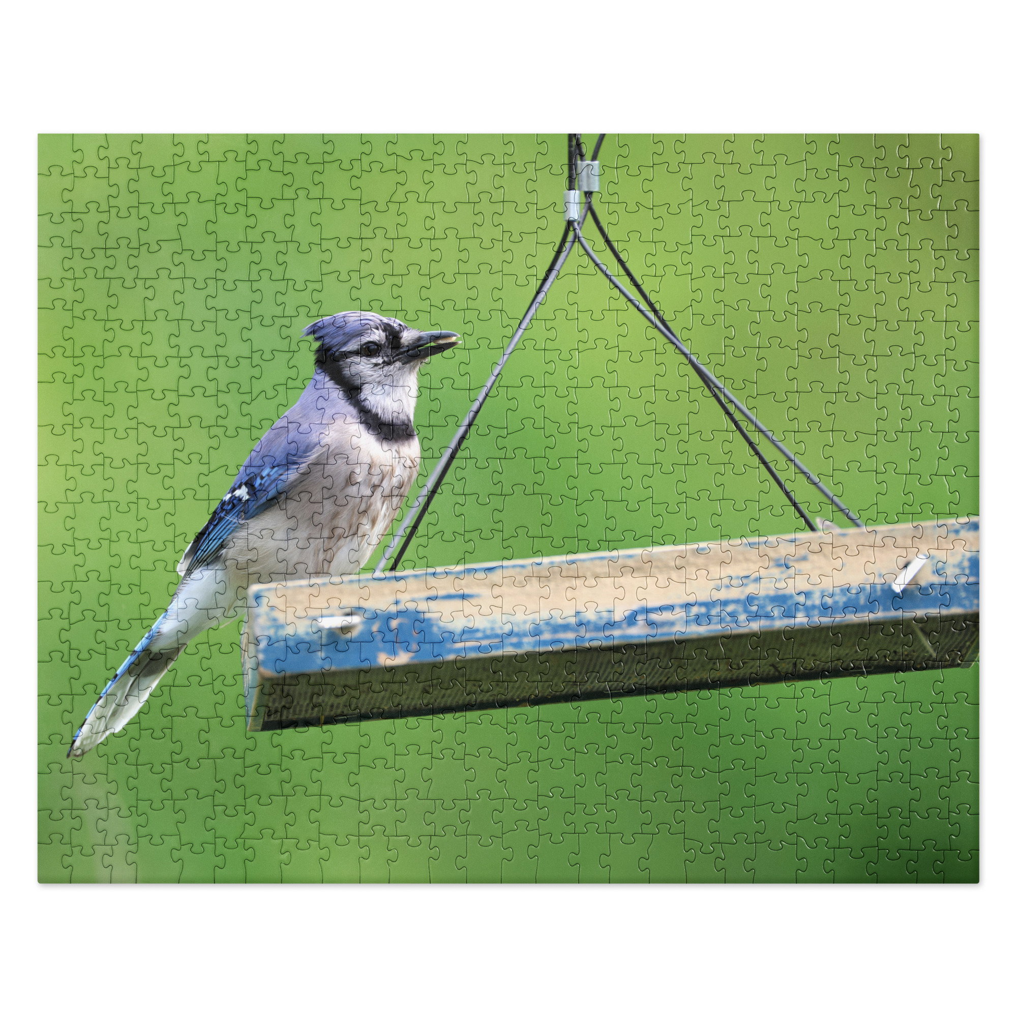 Blue Jay 520-piece Jigsaw Puzzle