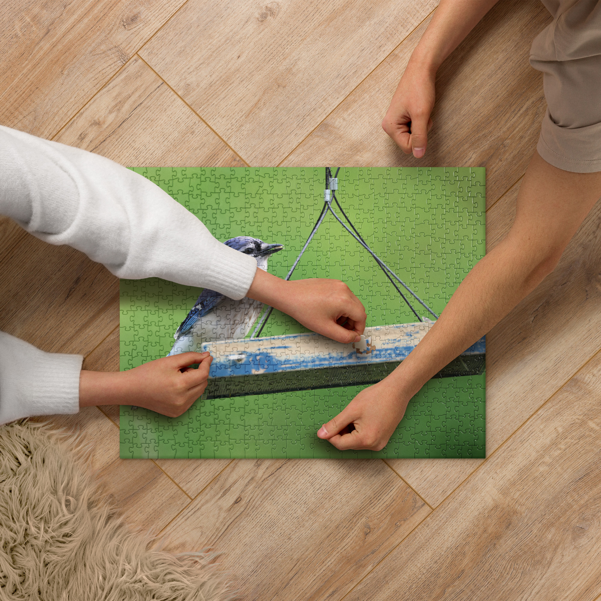 Blue Jay 520-piece Puzzle Blue Jay 520-piece Puzzle