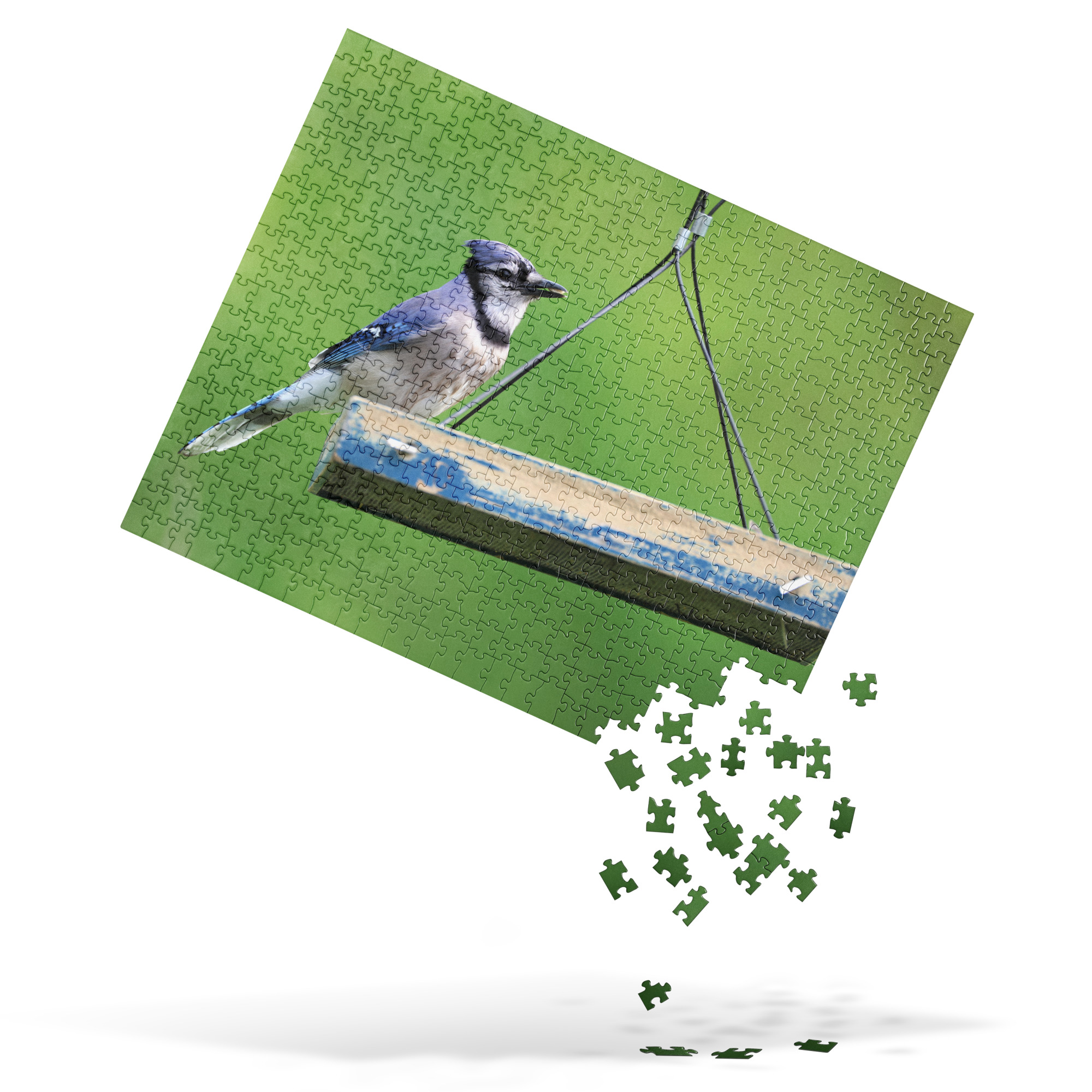 Blue Jay 520-piece Puzzle Blue Jay 520-piece Puzzle